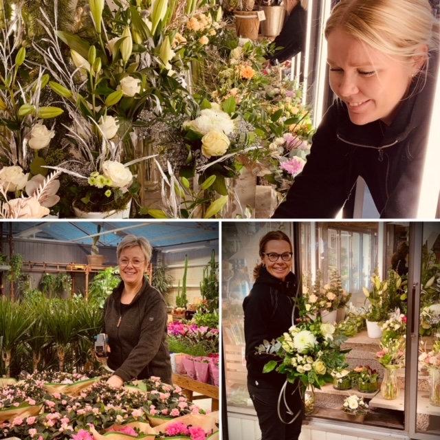 Jimmis Handelsträdgård AB